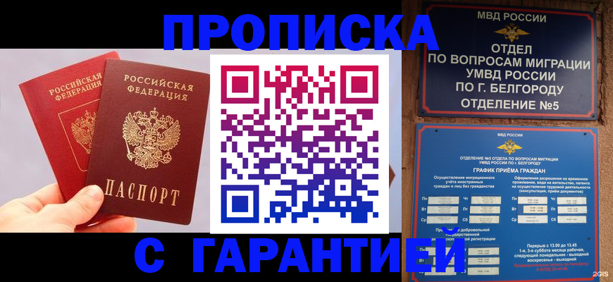 прописка 2025 в Артёме